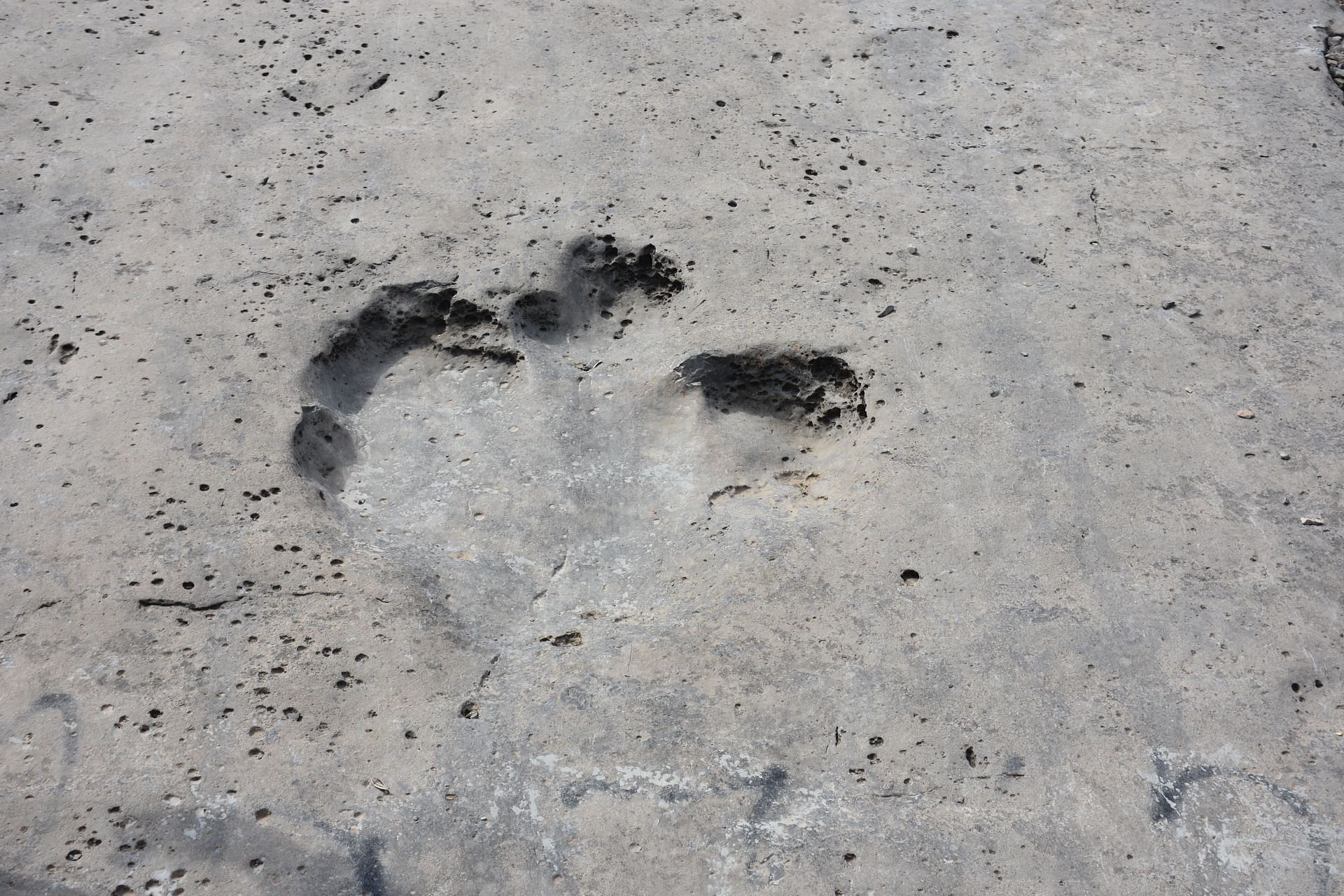 Millions of years old fossilized dinosaur footprints in Turkmenistan - Source: Getty