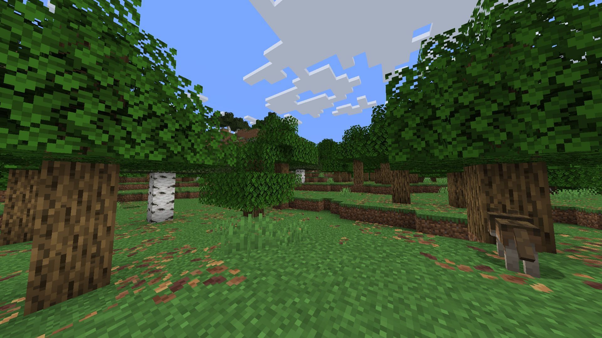 Minecraft Leaf Litter (Image via Mojang Studios)