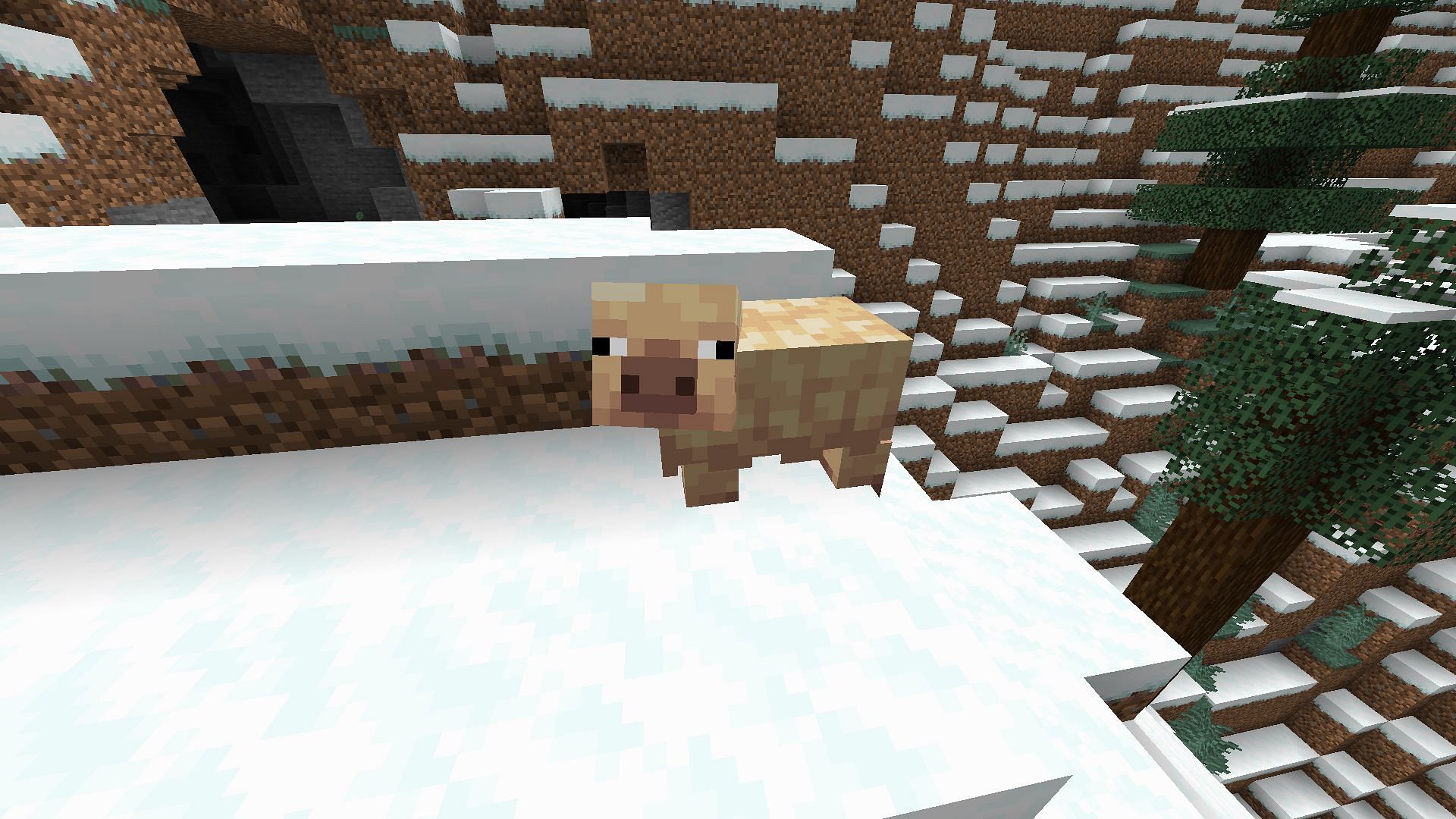 Cold pigs spawn in certain cold Overworld biomes (Image via Mojang Studios)