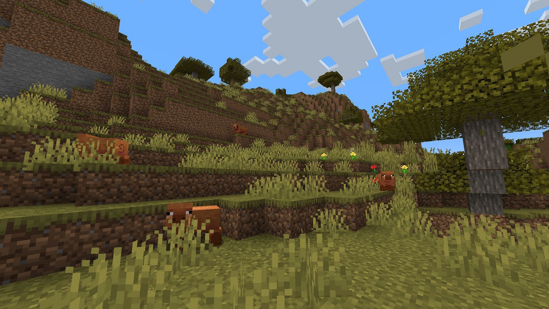 Mojang wwantsplayers to explore by adding new animal variants to different biomes (Image via Mojang Studios)