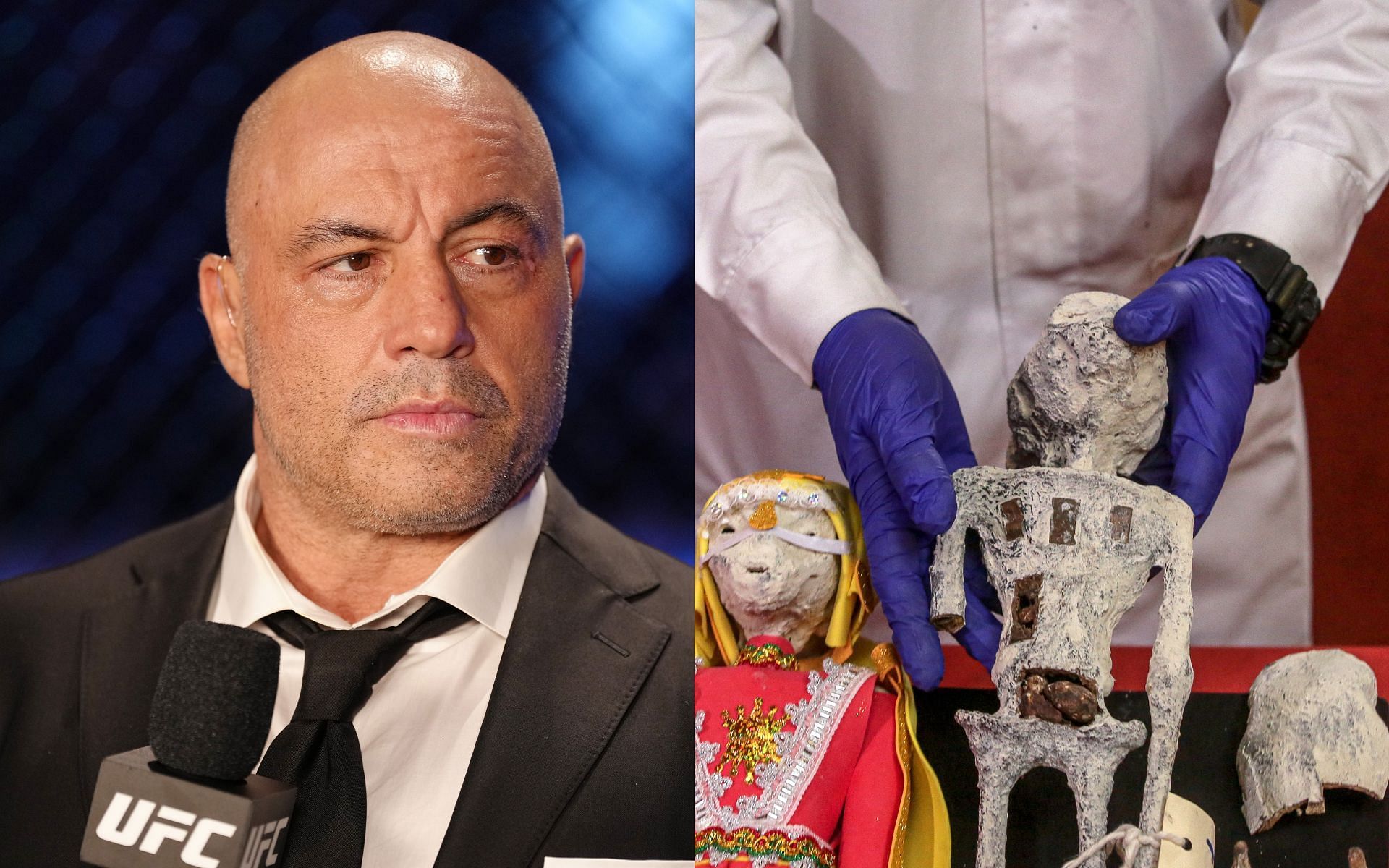 Joe Rogan (pictured) addressed the alleged alien mummies