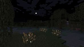 Minecraft finally adds fireflies but there's a catch
