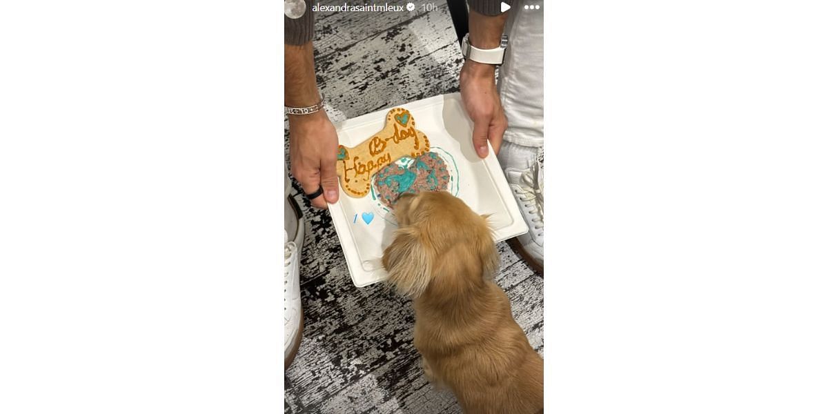 Charles Leclerc&#039;s girlfriend celebrated their dog&#039;s birthday...Credits-Instagram