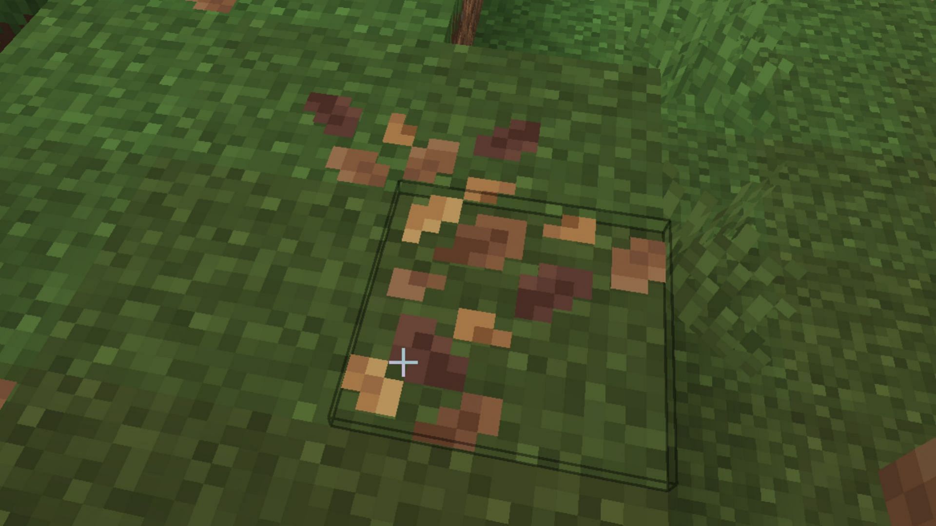 Leaf litter will be quite useful to players even though it does not look the prettiest (Image via Mojang Studios)