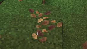 Minecraft leaf litter will be quite useful in upcoming game drop despite being visually underwhelming