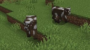 Minecraft cows are getting a makeover in upcoming game drop update