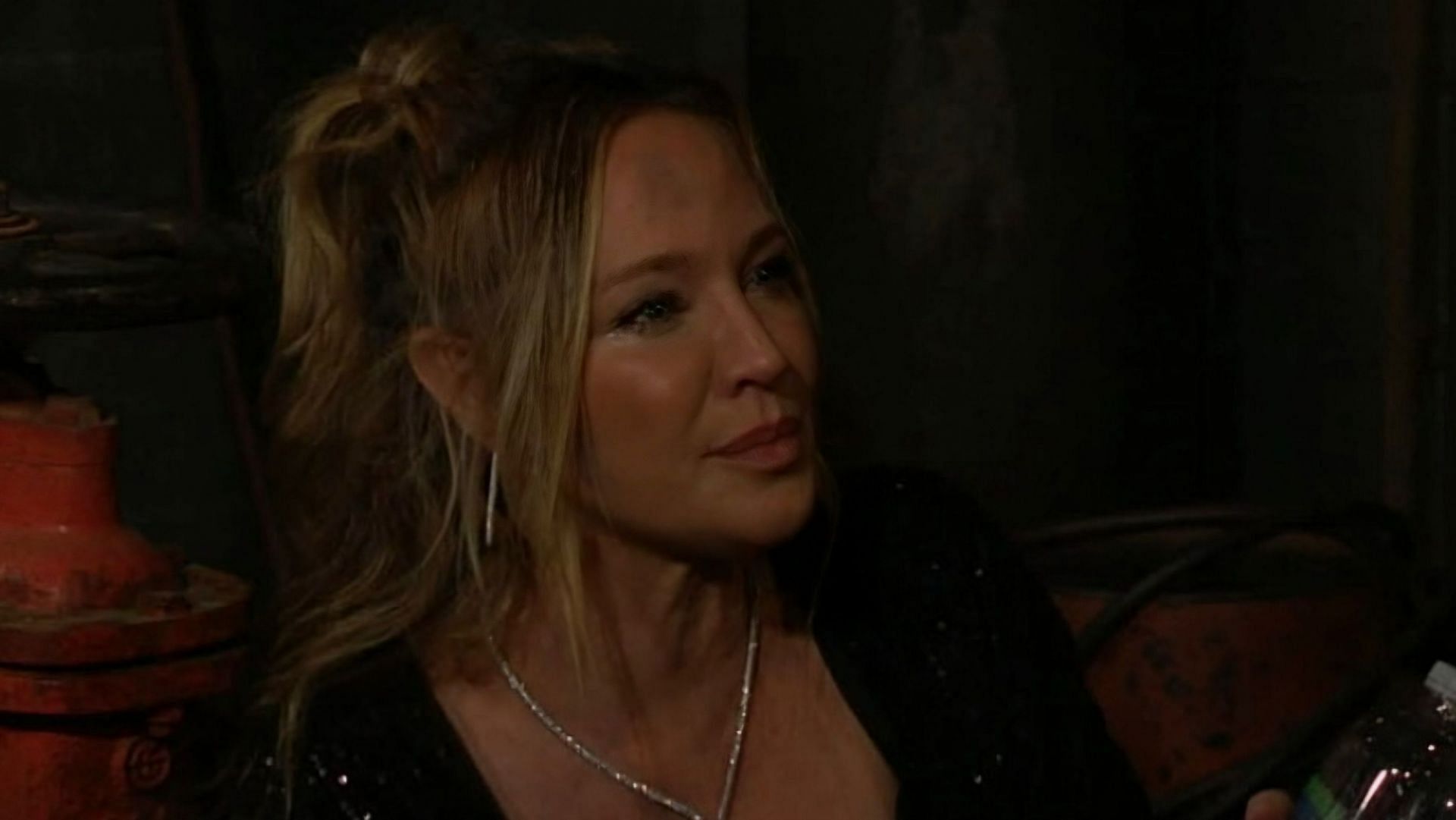 Actress Sharon Case in the role of Sharon Newman in a still from The Young and the Restless (Image via CBS)