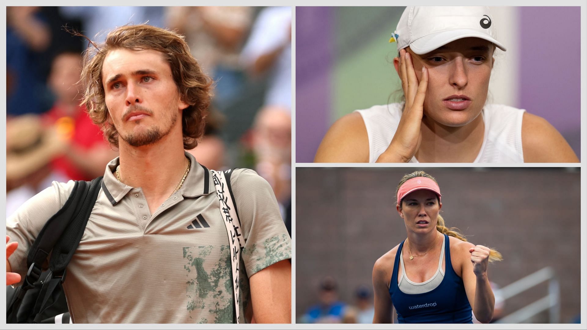 Alexander Zverev, Danielle Collins, Iga Swiatek