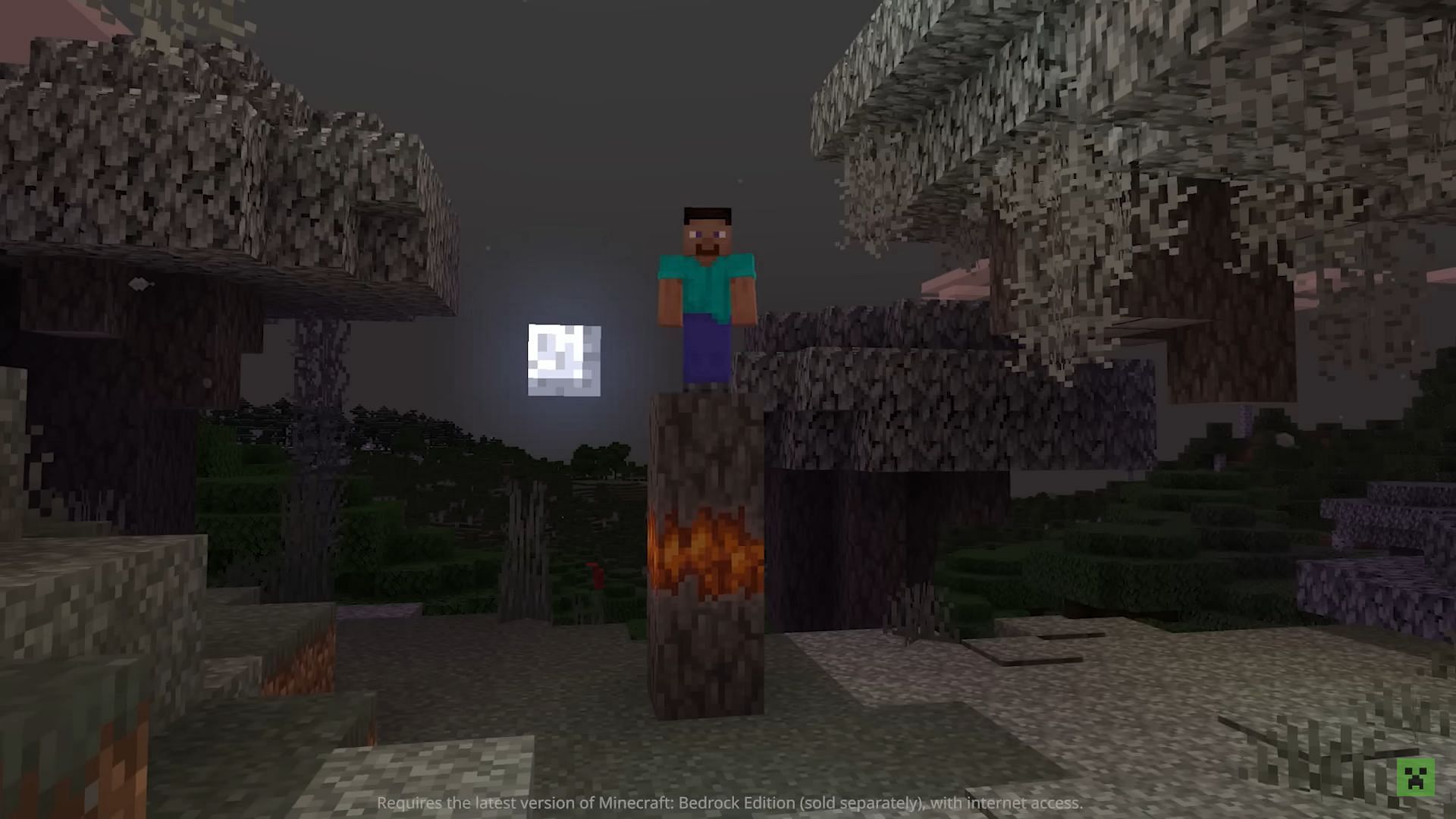 He looks like Minecraft Steve (Image via Mojang)