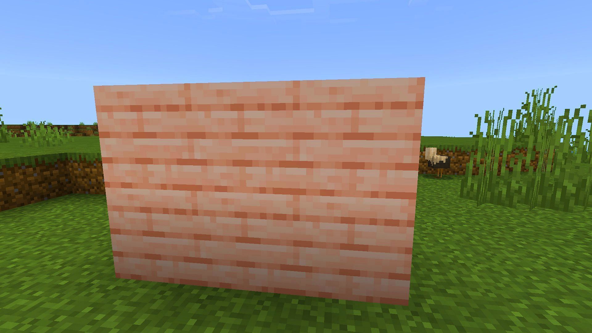 Peach planks could be a welcome addition to the game (Image via Mojang Studios)