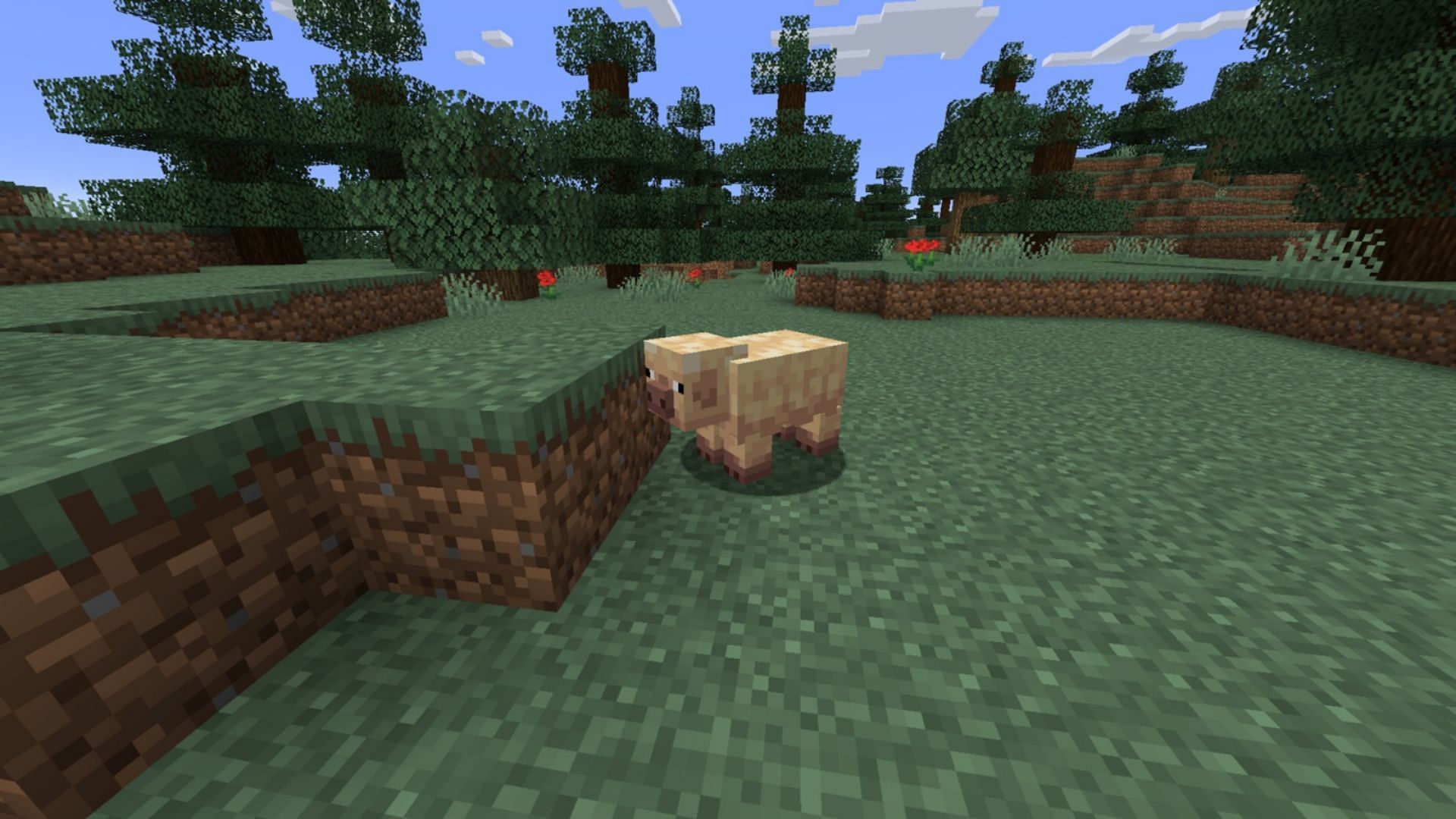 The cold pig variant (Image via Mojang Studios)