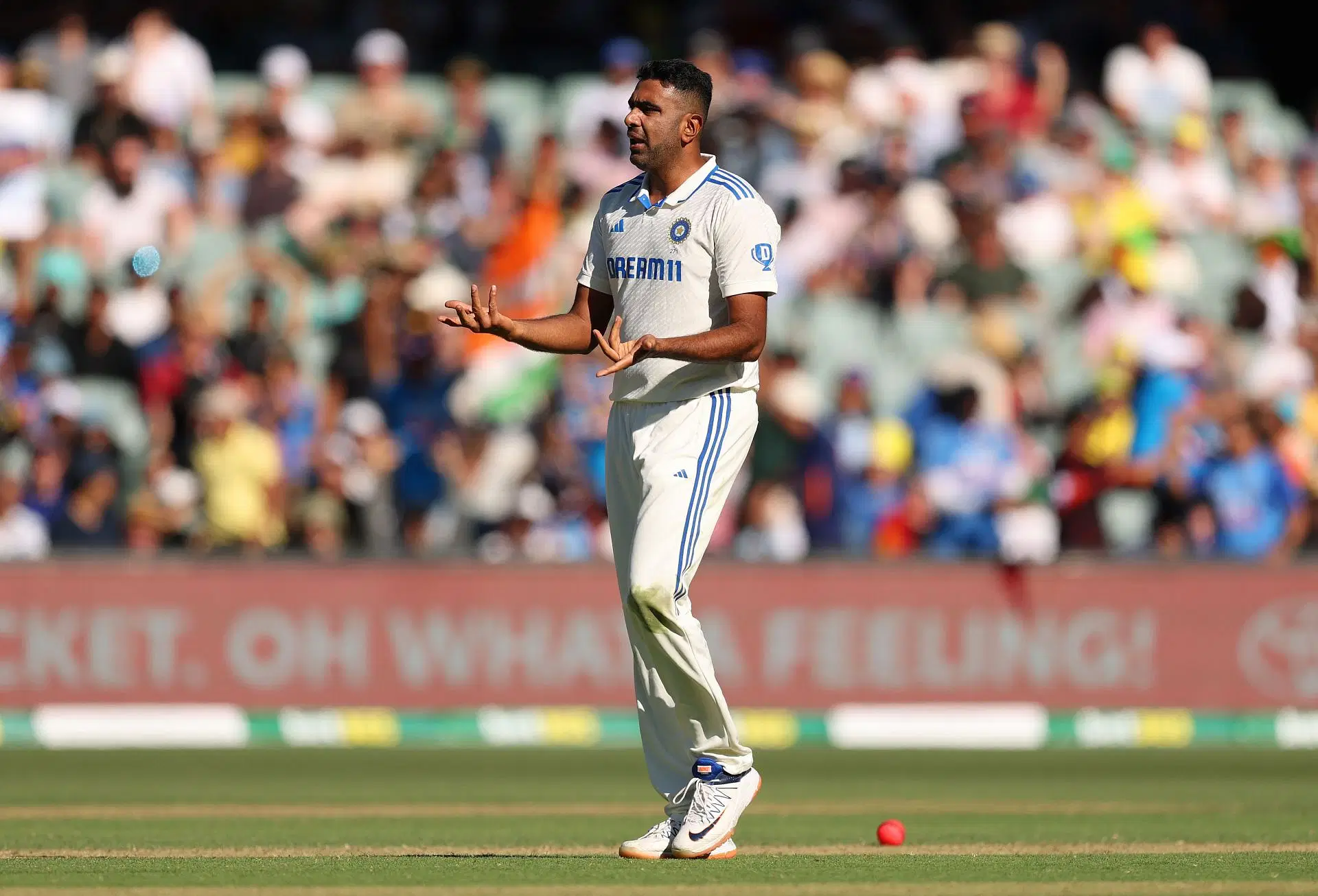 Australia v India - Men