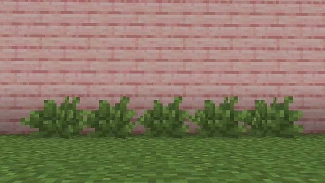 Why Minecraft's bush block might feel less appealing compared to other new game drop features