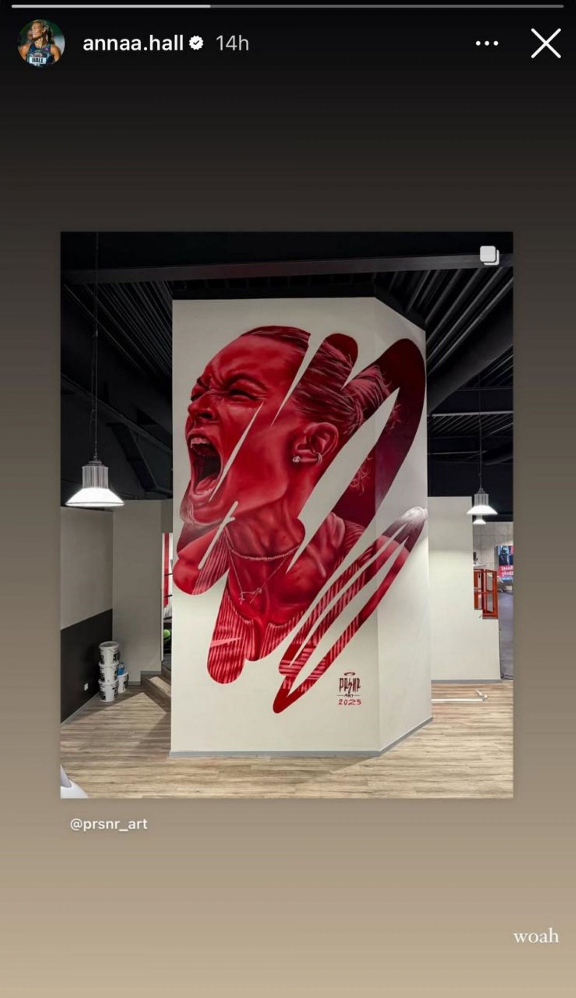 Anna Hall reacted to her mural done by a fan for a gym; Instagram - @annaa.hall