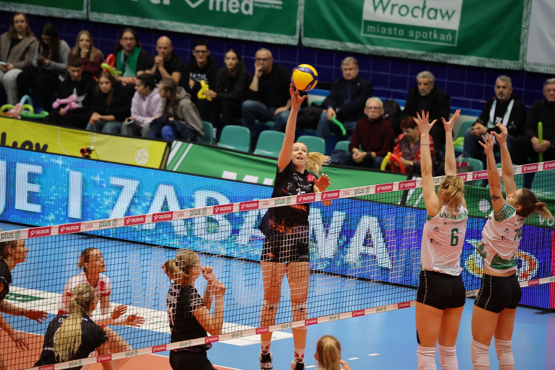 Volley Wroclaw v LKS Lodz - Tauron Liga - Source: Getty