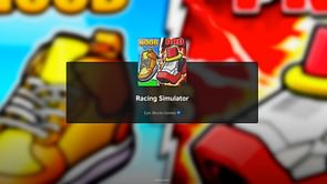 Racing Simulator codes