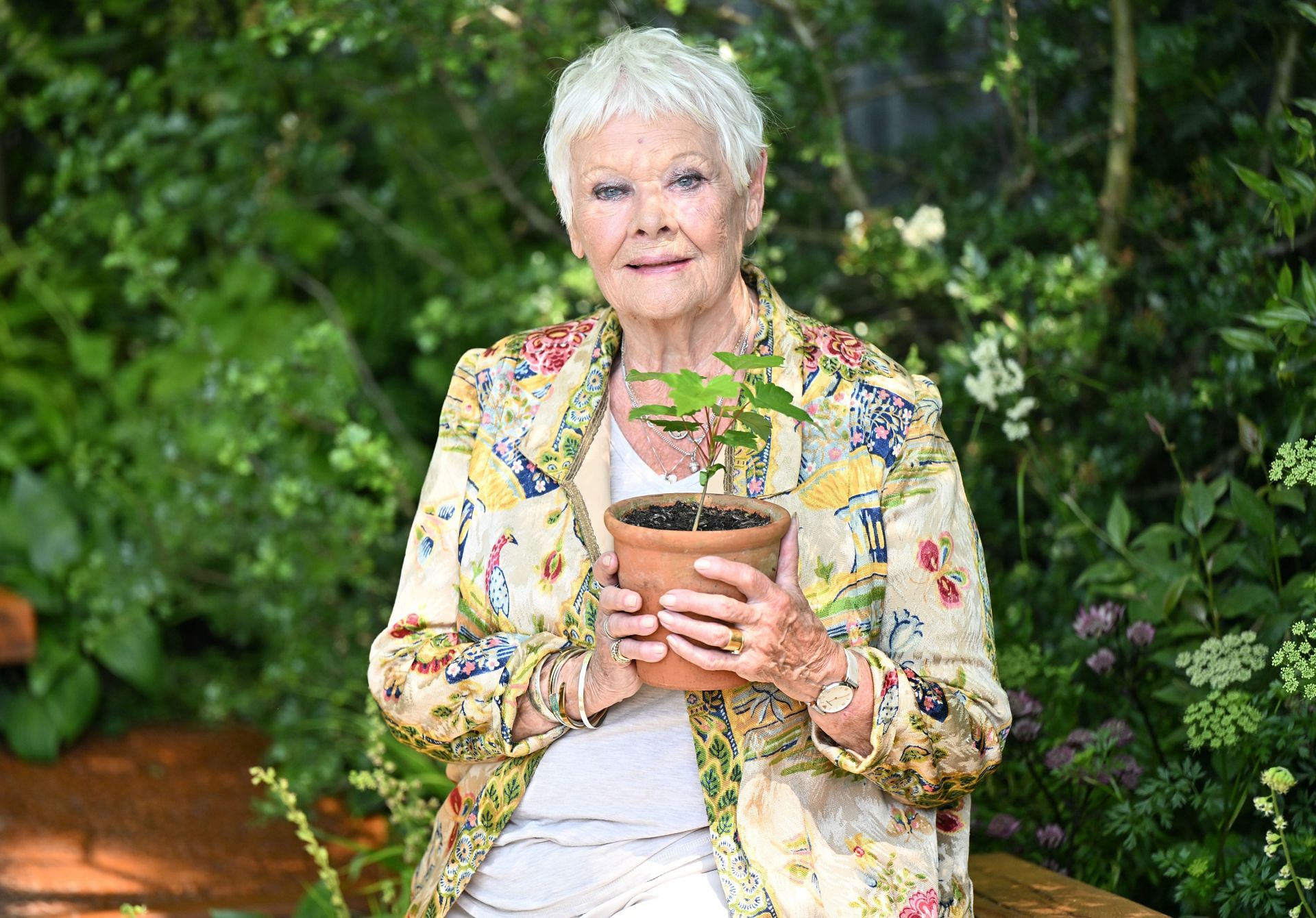 Dench at the RHS Chelsea Flower Show (Image via Getty)