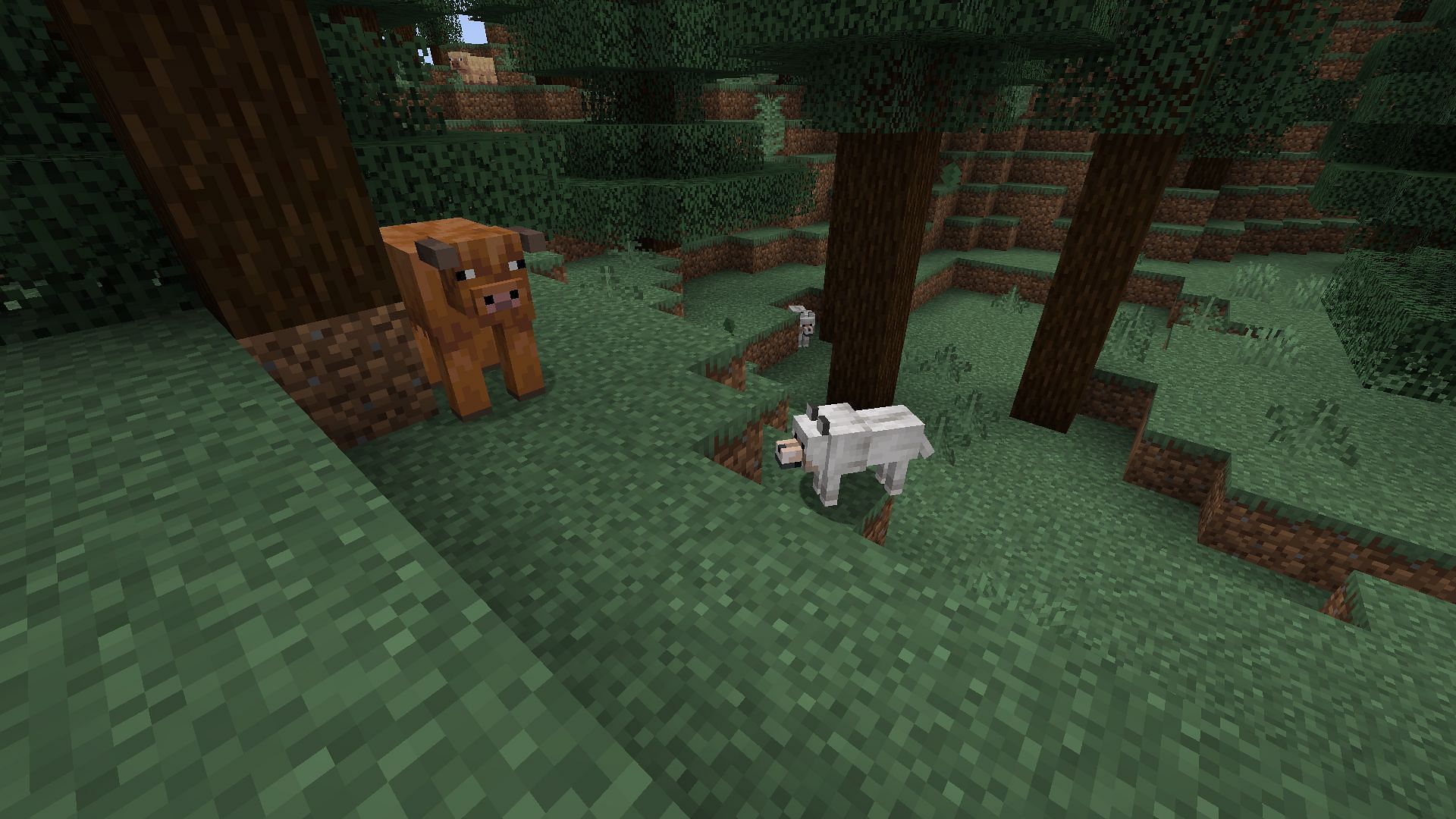 The new update has a lot of potential (Image via Mojang Studios)