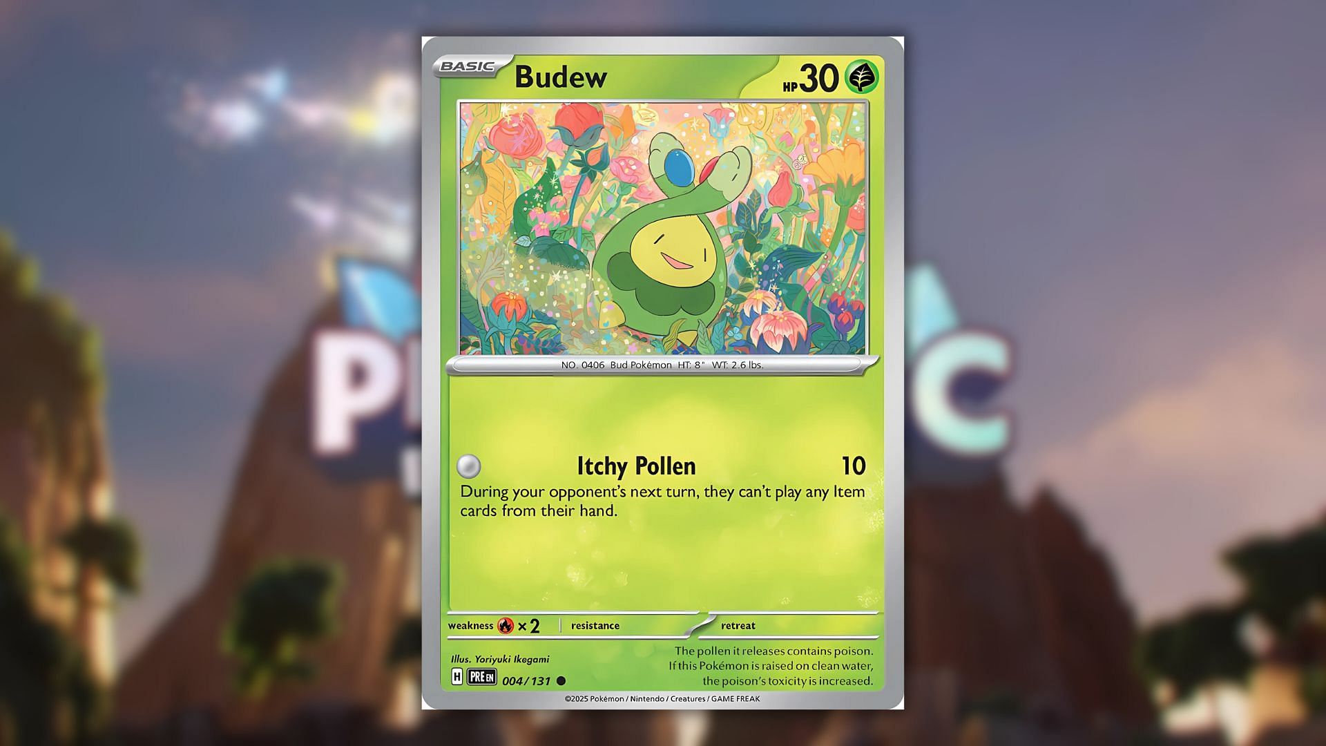 Budew card (Image via The Pokemon Company)