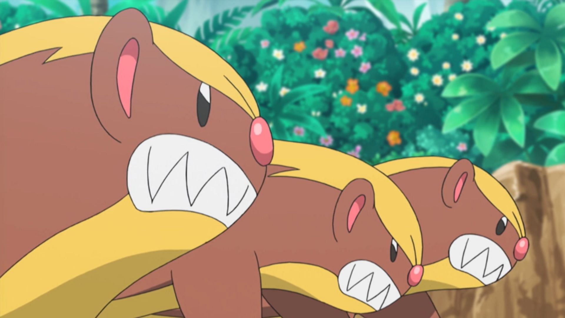 Yungoos in the anime. (Image via The Pokemon Company)