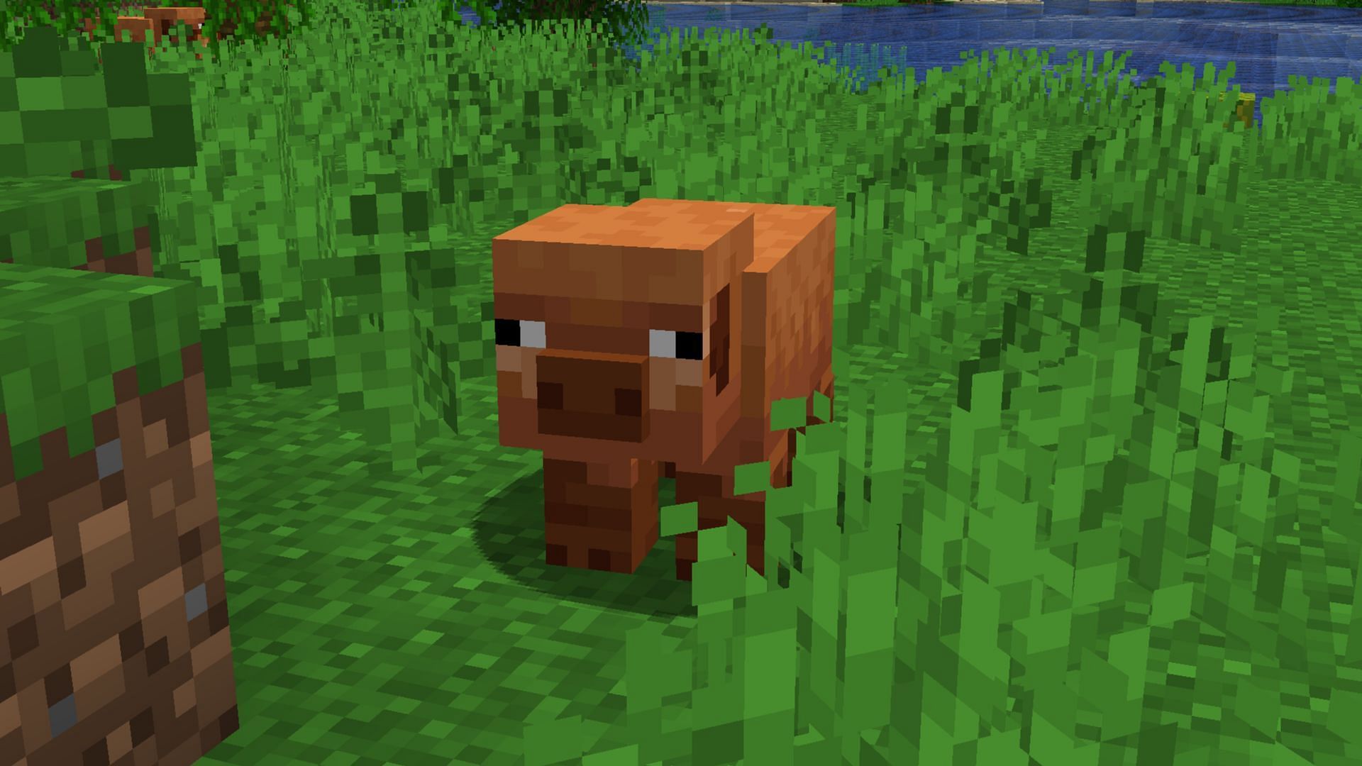 Minecraft new pig variants