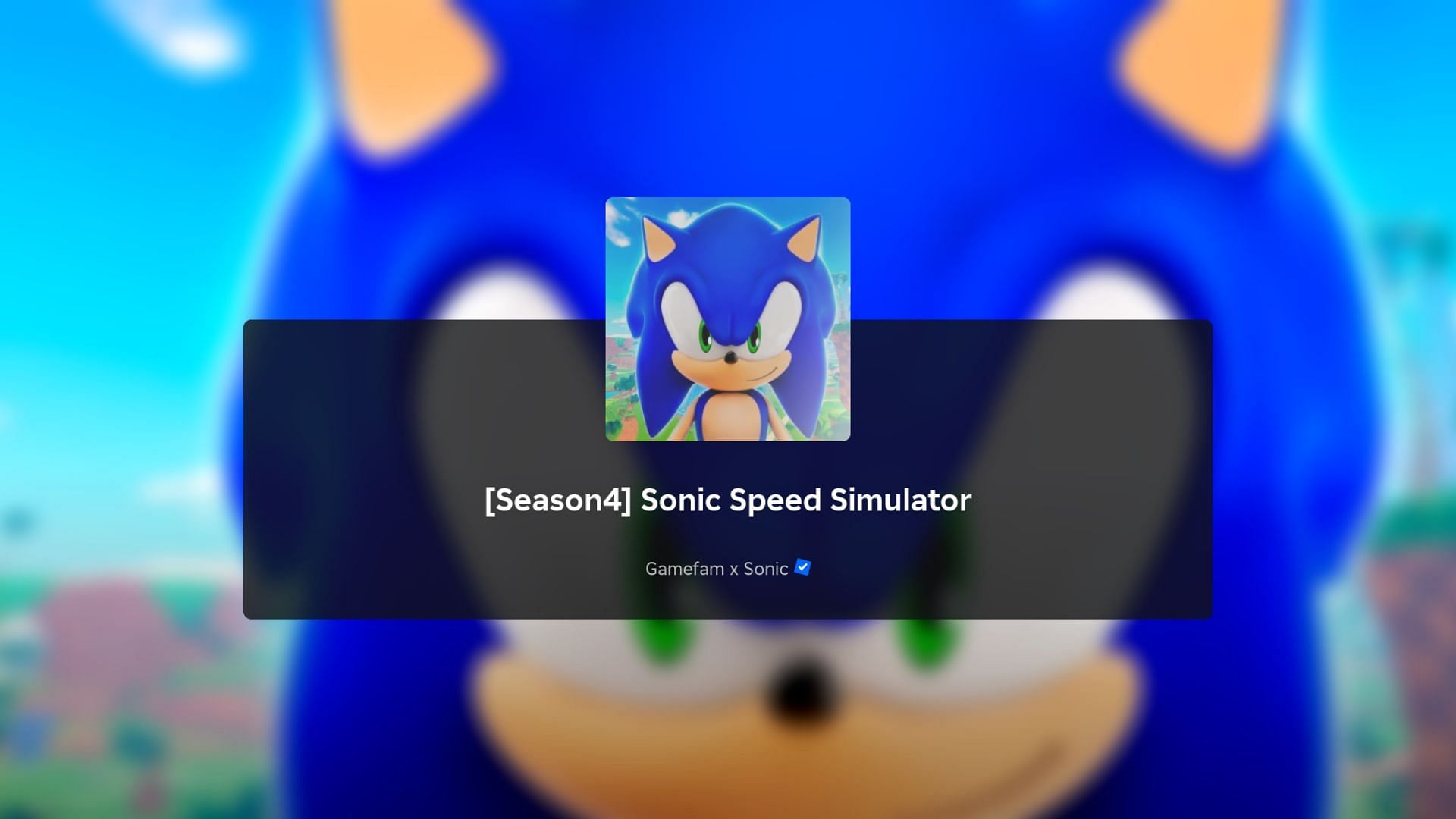 Sonic Speed Simulator