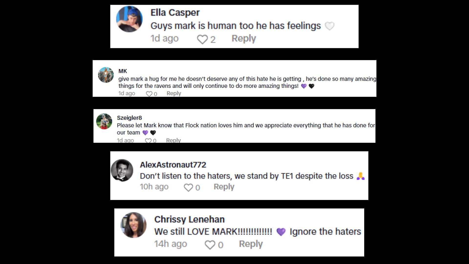 Additional comments on Elena Yates&#039; TikTok page (image credit: tiktok/elenayates)