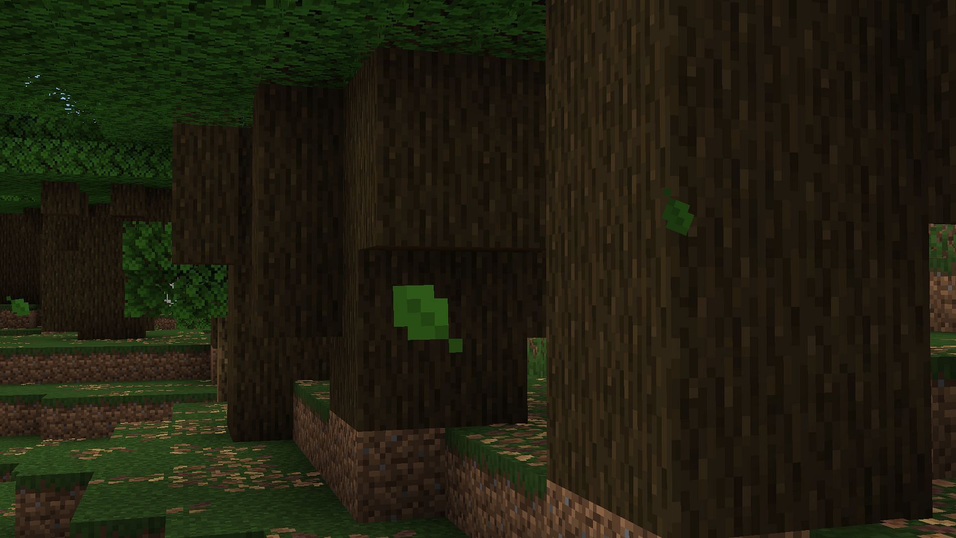 Leaves will be visible falling from every single tree in the Overworld (Image via Mojang Studios)