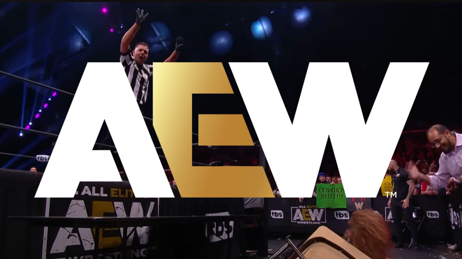 All Elite Wrestling is a Jacksonville-based promotion led by Tony Khan [photo: AEW Official Website and YouTube Channel]