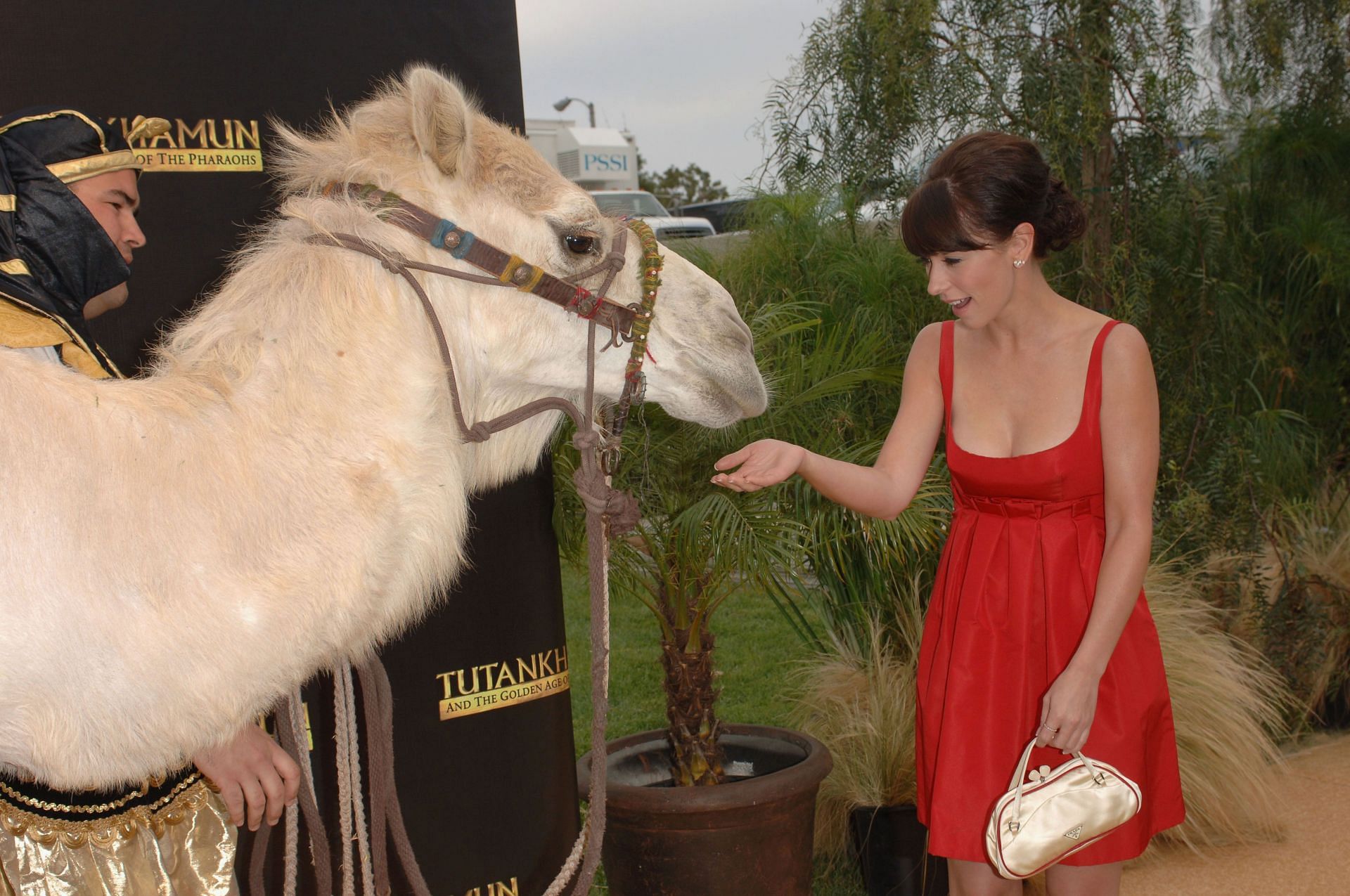 Jennifer Hewitt (Photo by Stephen Shugerman/Getty Images)