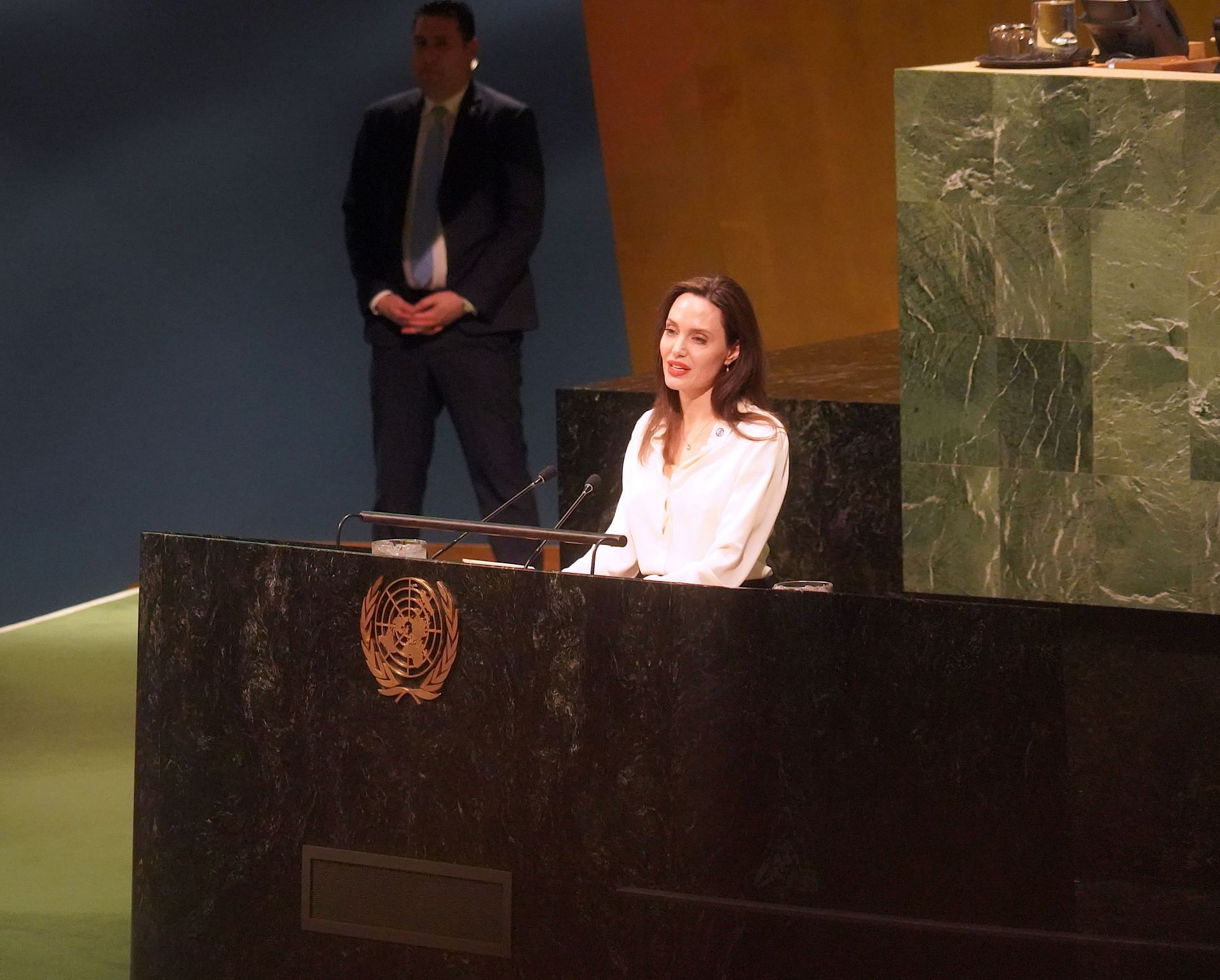 Angelina Jolie On The World Stage In The UN (Source: Getty)