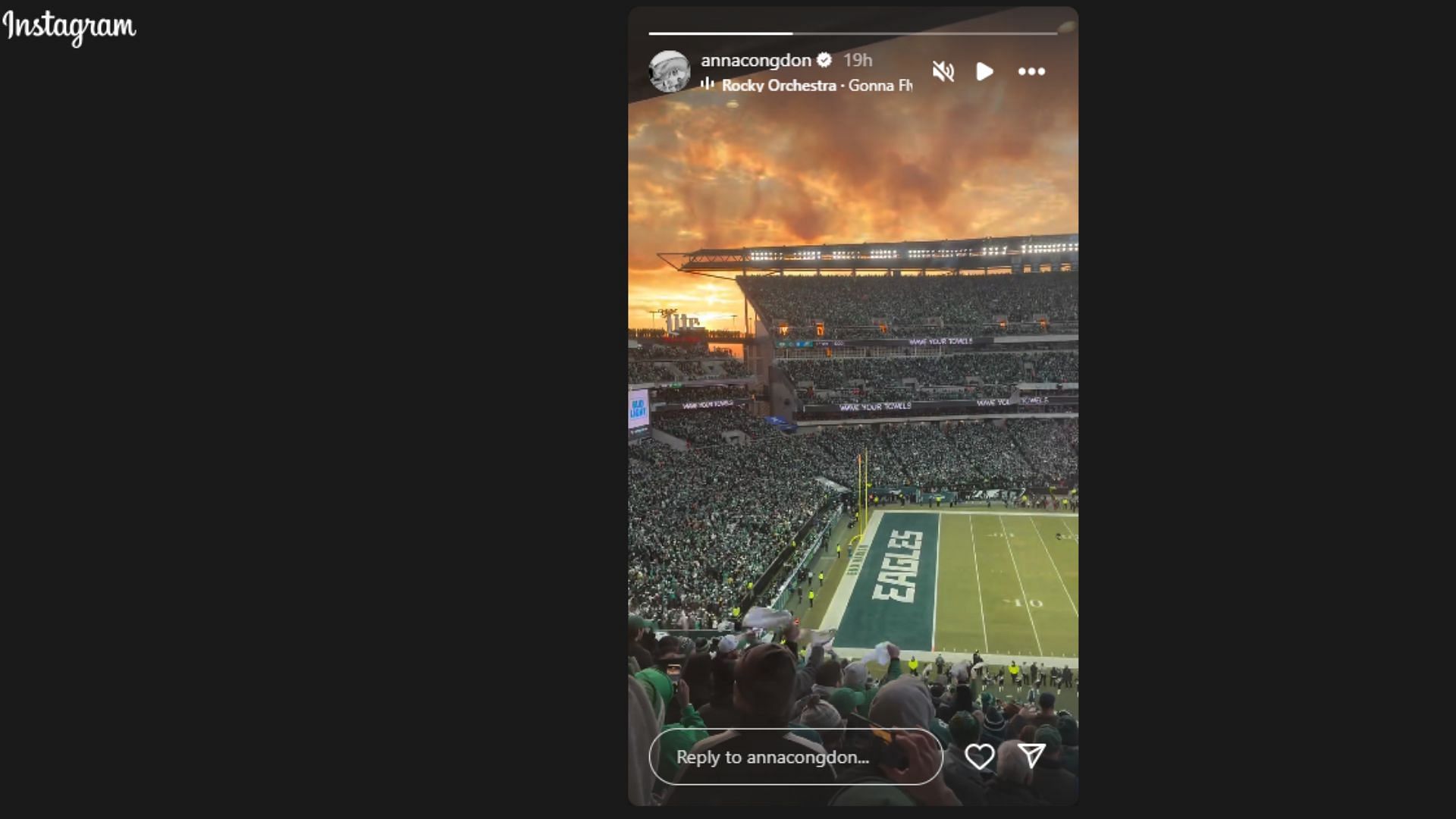 Anna Congdon showed off playoff atmosphere at Lincoln Financial Field. (Photo via Anna Congdon&#039;s Instagram Story)