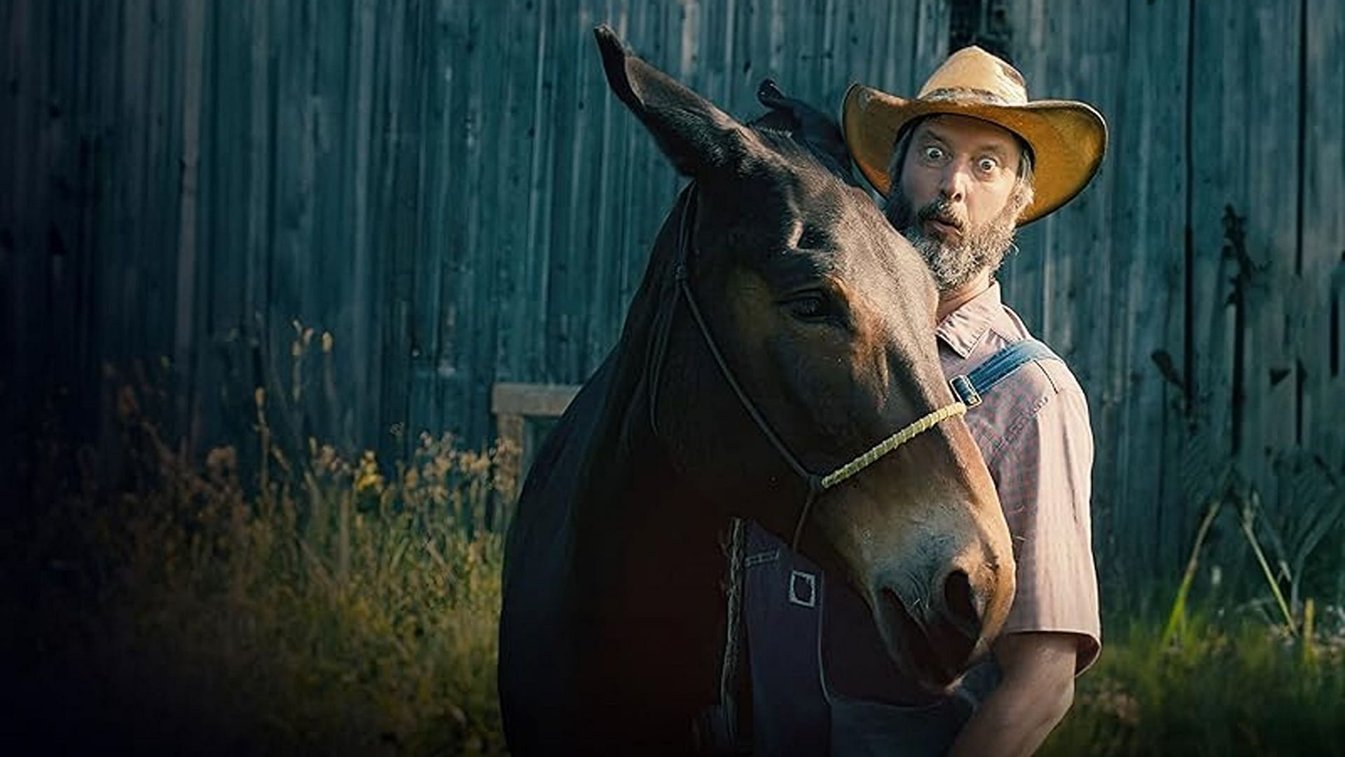 Tom Green Country poster (Image via Prime)