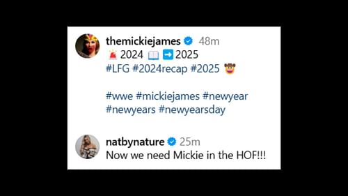 Natalya says James should be in the WWE Hall of Fame! [Image via Instagram]