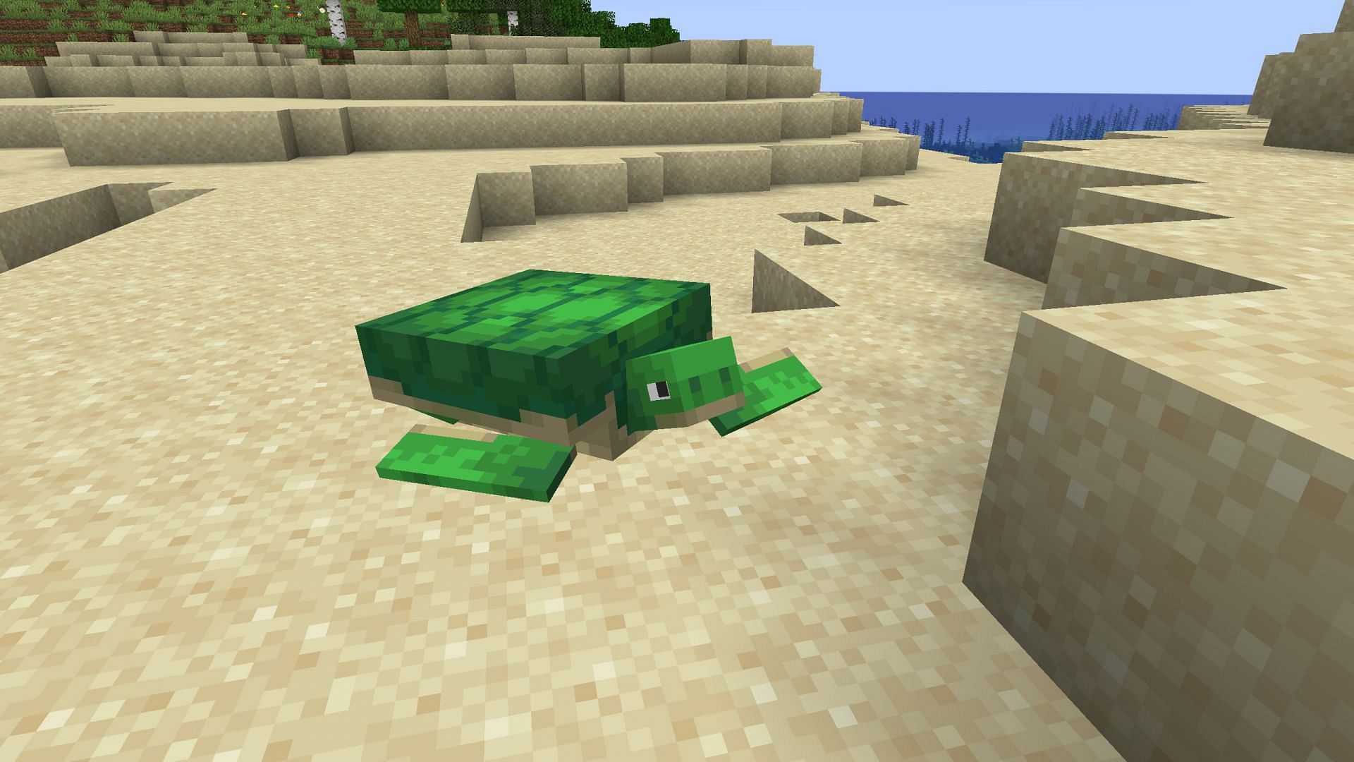 Turtles would look much more realistic with a retexture (Image via Mojang Studios)