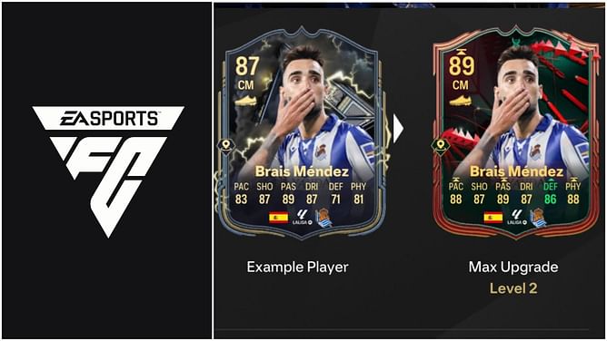 EA FC 25 Rigid Backbone Evolution guide: Best players to use, all upgrades, requirements, and more