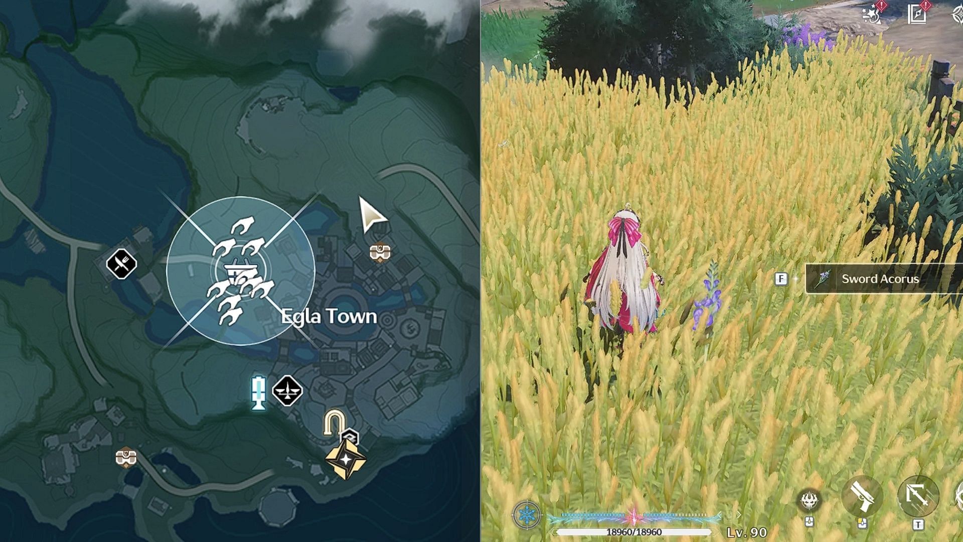 Sword Acorus locations in Egla Town (Image via Kuro Games)