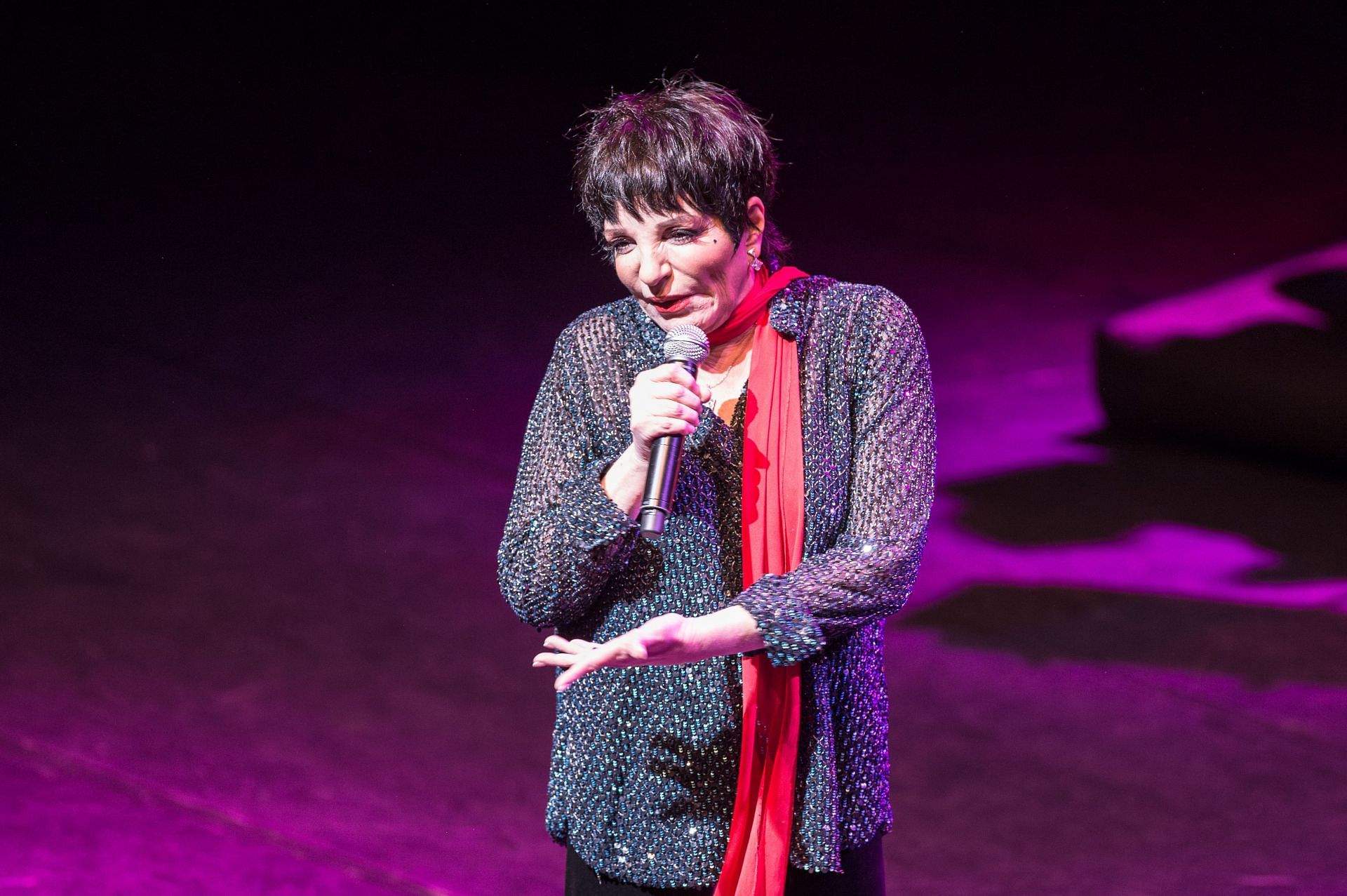 Liza Minnelli In Concert At L&#039;Olympia - Source: Getty