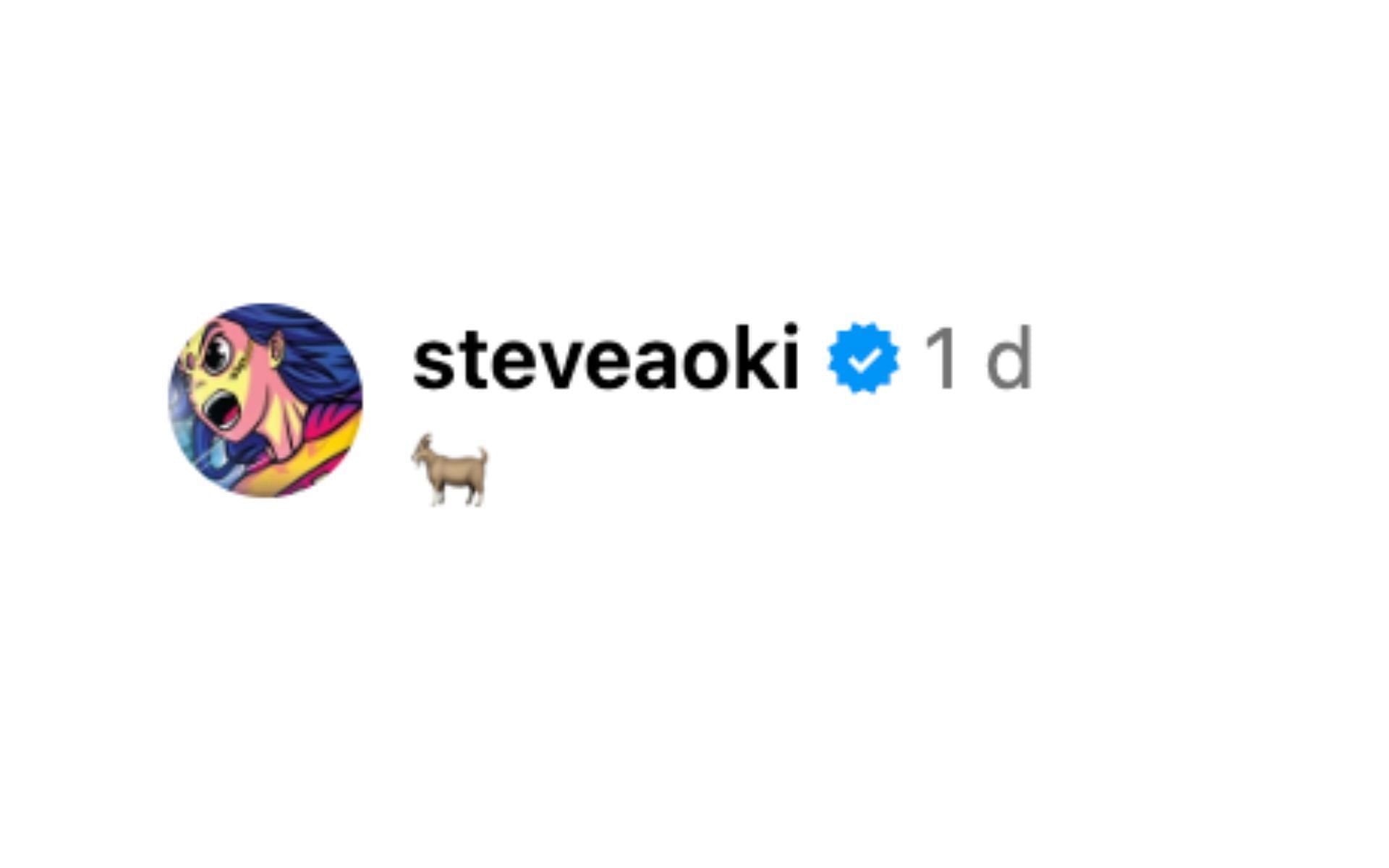 Screenshot of DJ Steve Aoki&#039;s comment. [Screenshot courtesy: @khamzat_chimaev on Instagram]