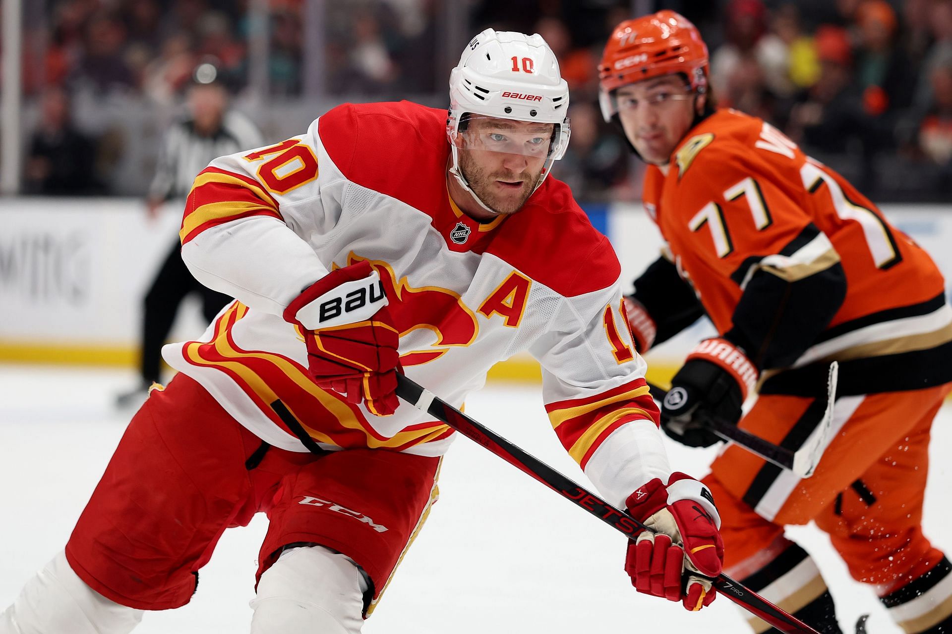 Calgary Flames Arena