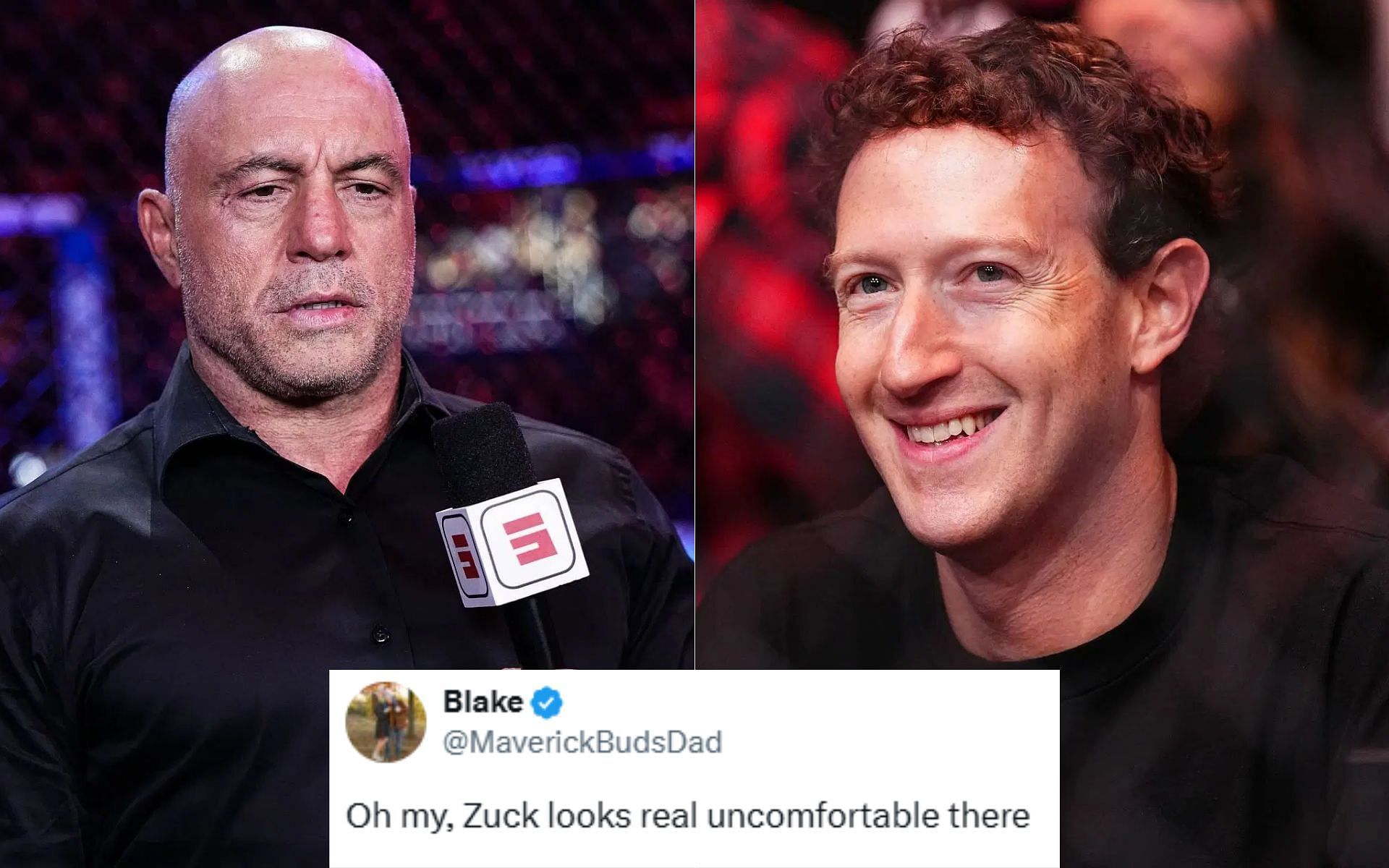 Mark Zuckerberg recently appeared on Joe Rogan