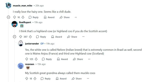 Redditors discuss the real-life inspiration of the cows (Image via Reddit/u/juniorvander)