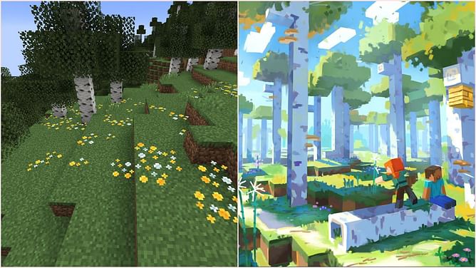 Minecraft might finally be getting Birch Forest revamp shown back in 2021