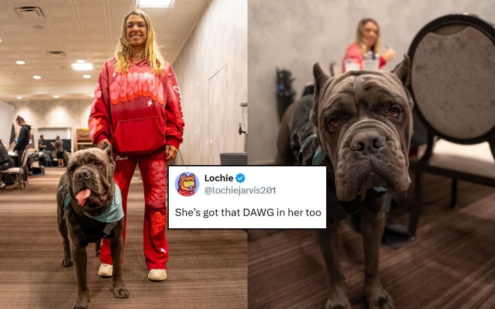 Fans react (insert) to Mackenzie Dern bringing her dog to work (pictured)/ [Image credit: @ufc on X]