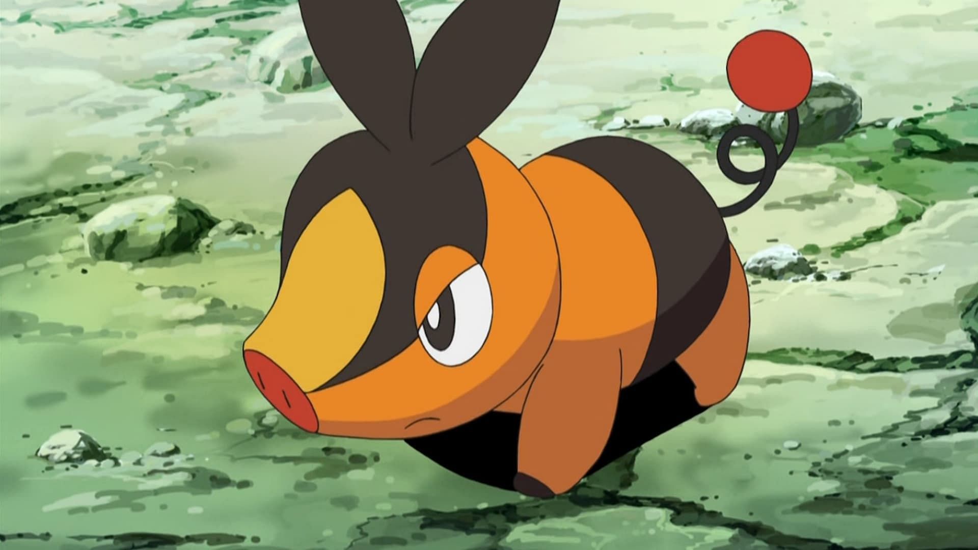 Tepig as seen in the anime (Image via The Pokemon Company)