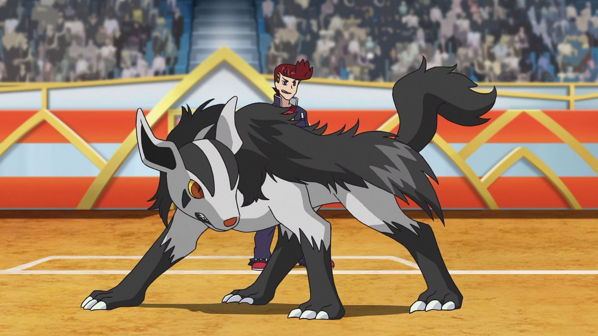 Mightyena in the anime (Image via TPC)