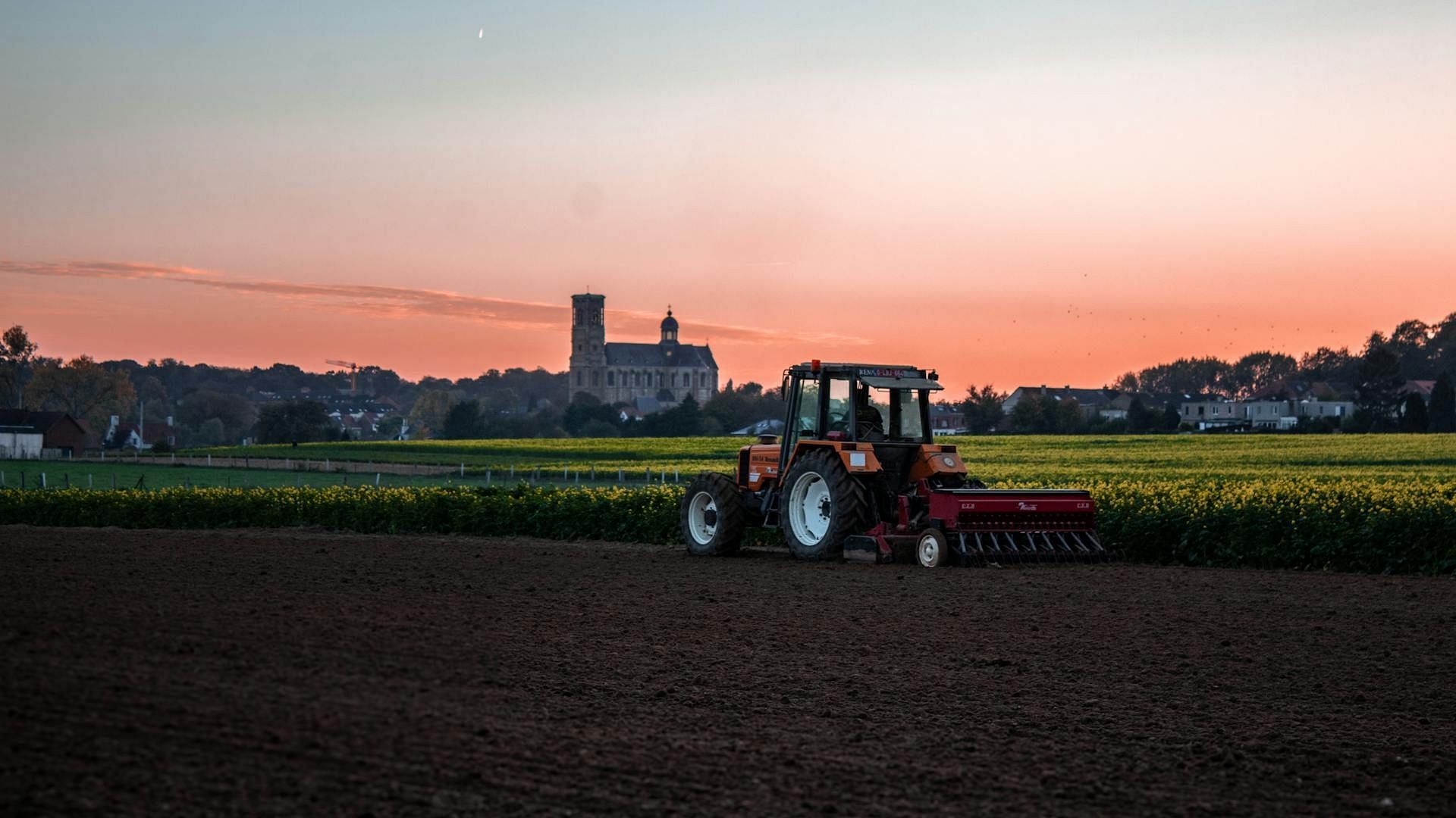 Thorbj&ouml;rn F&auml;lldin grew up at his family farm in V&auml;sternorrland County, Sweden (Image via Pexels)