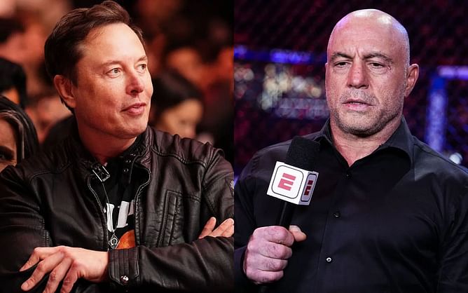 Elon Musk issues five-word reaction to Joe Rogan slamming American foreign aid policy after Ukraine allegedly benefited from $6 billion accident