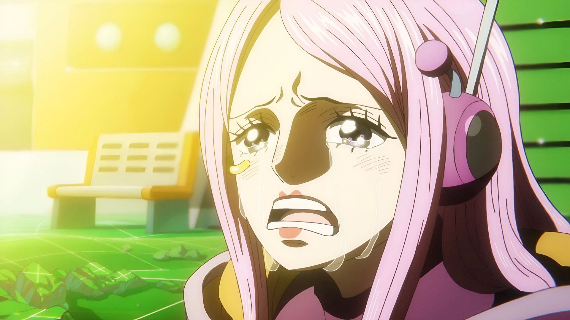 Bonney as seen in the anime (Image via Toei Animation)