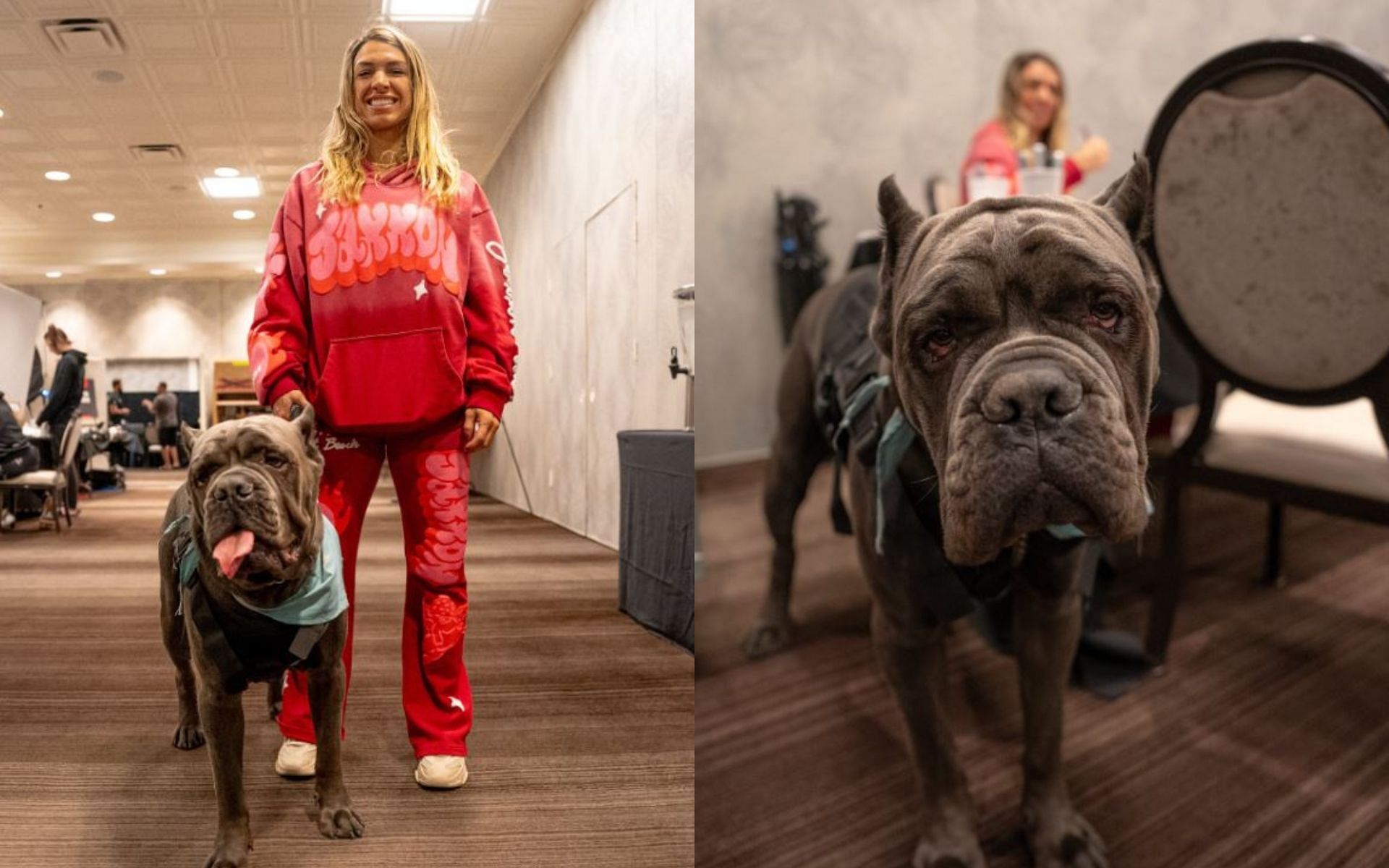 Mackenzie Dern and her dog during UFC Vegas 101 media day. [Screenshot courtesy: @ufc on X]